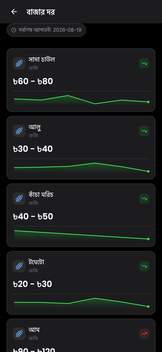 বাজারদরের স্ক্রিন: চাল, আলু ও কাঁচা মরিচের আজকের দাম